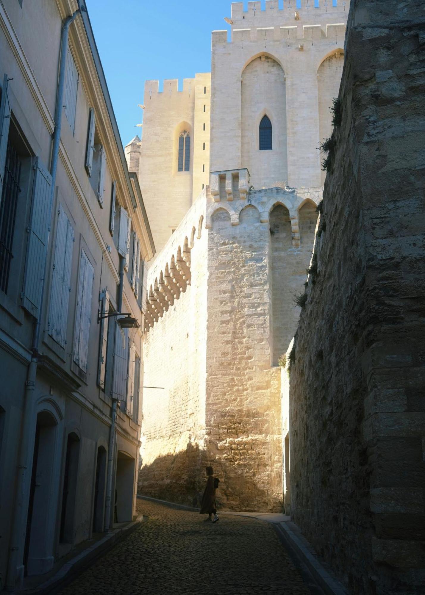 Le Petit Avignon - Chambres & Appartement A Deux Pas Du Pont D'Avignon Et Du Palais Des Papes Exterior foto